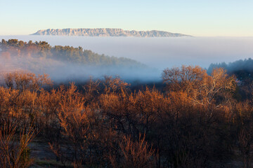 Fototapeta premium Golden winter light over a misty Provençal valley at sunrise with the Sainte Victoire mountain in the background.