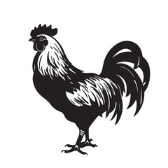 Silhouette of Rooster and chicken hen vector icon set illustration on white background.