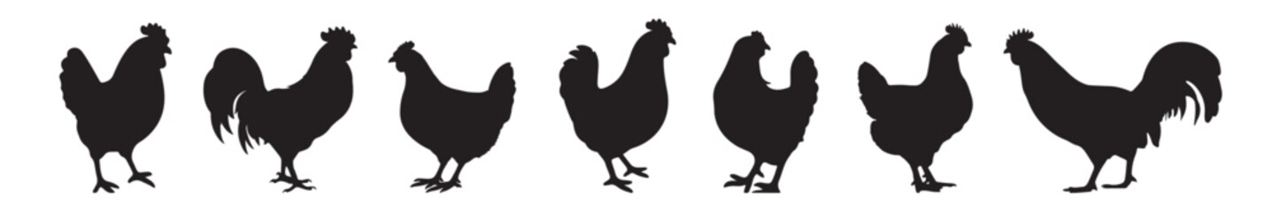 Silhouette of Rooster and chicken hen vector icon set illustration on white background.