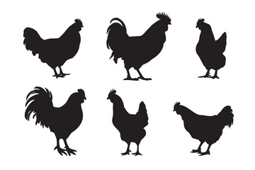 Silhouette of Rooster and chicken hen vector icon set illustration on white background.