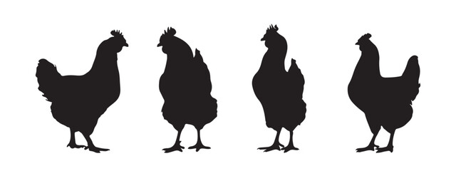 Silhouette of Rooster and chicken hen vector icon set illustration on white background.
