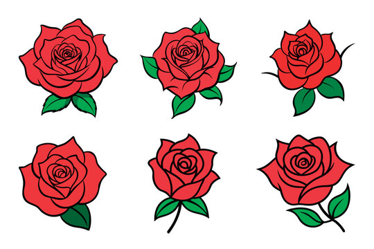 Set of red rose vector illustration with leaves isolated on white background