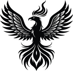 Obraz premium eagle with wings