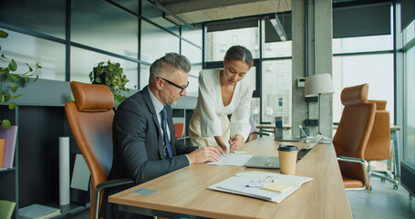 Businesswoman explains strategy to businessman