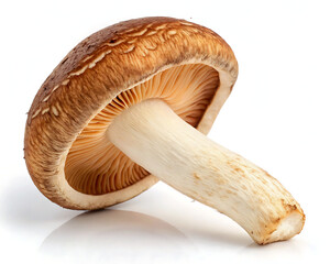 Fototapeta premium mushroom on white background, Fresh Portobello Mushroom Close-Up on White Background – Organic Edible Fungi
