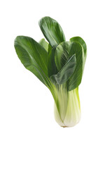 Pak Choi