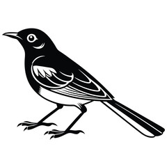 Fototapeta premium Red-winged blackbird silhouette, bird silhouette on a white background