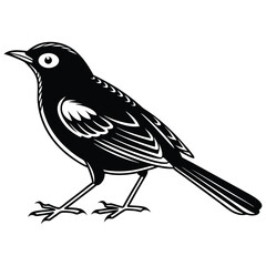 Obraz premium Red-winged blackbird silhouette, bird silhouette on a white background