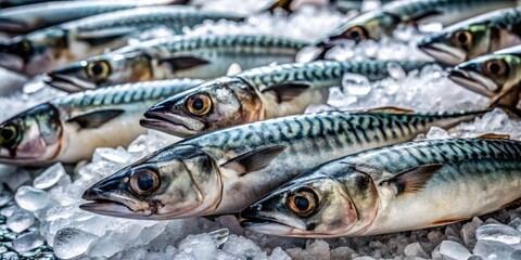 Obraz premium Fresh Mackerel on Ice: Documentary Photography of Seafood Market