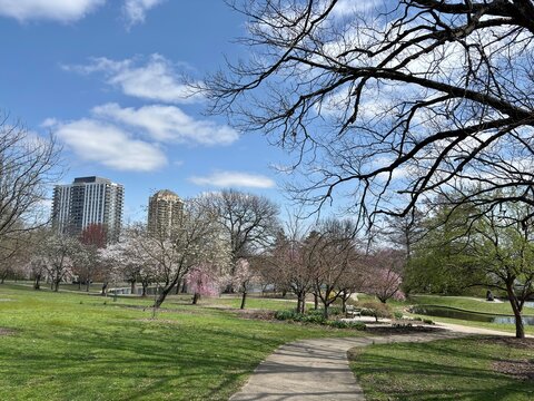 Curved park path with blooming trees at Eden Park in Cincinnati
