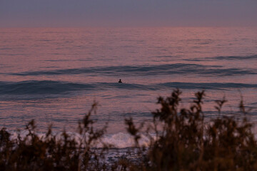 Sunset surf session off coast of Kaikoura, New Zealand