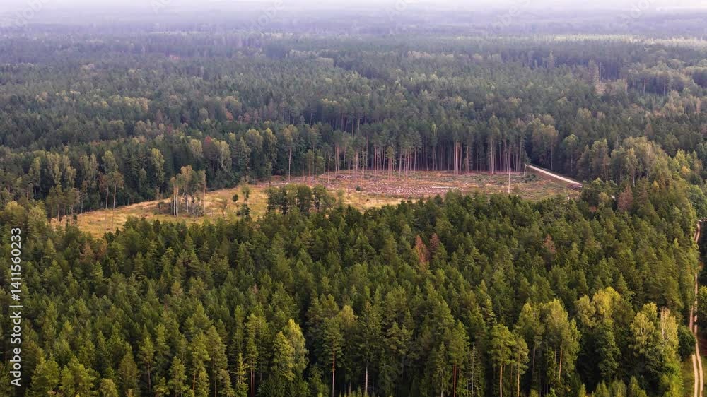 Poster aerial view of forests with cut down trees cleared for agriculture use in latvia.