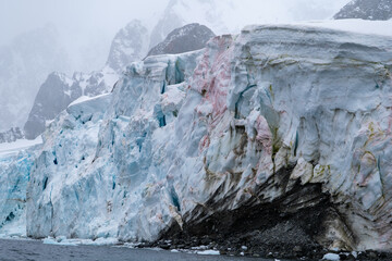 Pink snow in Antarctica. South Pole