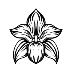 Abstract Floral Blossom Bold Black Outlines, Stylized Petals, Isolated on White Art