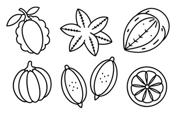 morinda line art monochrome organic leaf pencil sketch