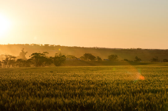 Farming landscape in the Avon Valley region of Western Australia