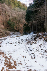 林道は少し積雪していた。
獣の足跡もある。
神奈川県清川村、早戸川林道-2025年
