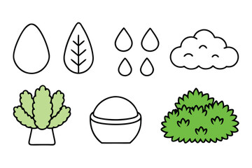 moss green line art elegant botanical illustration style