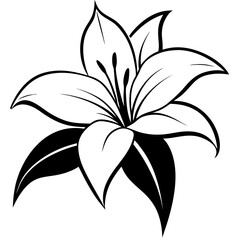 Vector silhouette of a lily flower with long, elegant petals extending outward,