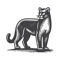 Obraz premium Simple Mountain Lion Side View Vector Icon Design – Vintage Retro Logo & Illustration