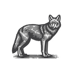 Simple Coyote Standing Vector Icon Design – Vintage Retro Logo & Illustration