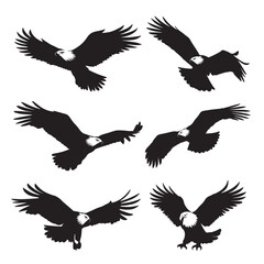 Silhouette of eagle vector icon set illustration isolated on white background.