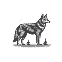 Fototapeta premium Simple Coyote Side View Vector Icon Design – Vintage Retro Logo & Illustration
