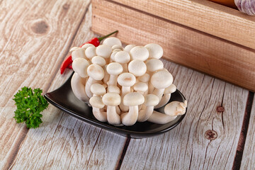 Raw asian mushrooms buna shimeji
