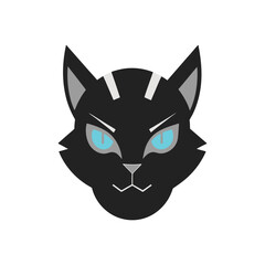 black and white cat face