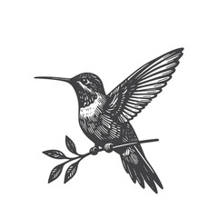 Fototapeta premium Simple Hummingbird Standing Vector Icon Design – Vintage Retro Logo & Illustration