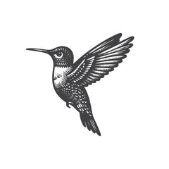 Obraz premium Simple Hummingbird Flying Vector Icon Design – Vintage Retro Logo & Illustration