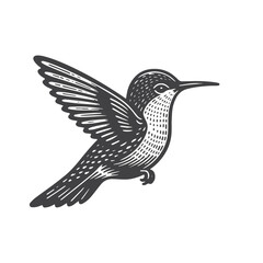 Fototapeta premium Simple Hummingbird Flying Vector Icon Design – Vintage Retro Logo & Illustration