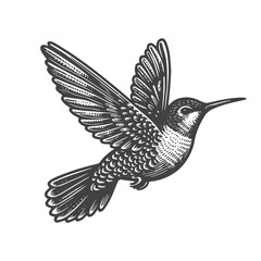 Obraz premium Simple Hummingbird Flying Vector Icon Design – Vintage Retro Logo & Illustration