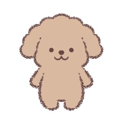 立ちポーズのトイプードル