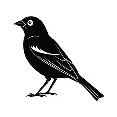Obraz premium Silhouette of a tanager bird Art & Illustration, bird vector on a white background