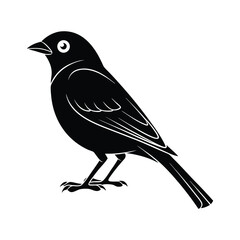 Obraz premium Silhouette of a tanager bird Art & Illustration, bird vector on a white background