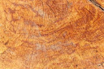 Naklejka premium Brown old wood texture shows a natural abstract pattern of textured timber