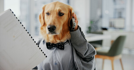 Phone call, planning and documents with business dog in office for pet ambassador, contact and consultant. Animal welfare, paperwork and schedule vet appointments with golden retriever in agency