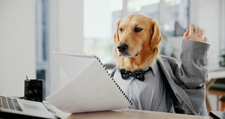 Stress, planning and documents with business dog in office for pet ambassador, frustrated and insurance claim. Animal welfare, paperwork and schedule list with golden retriever in agency for mistake