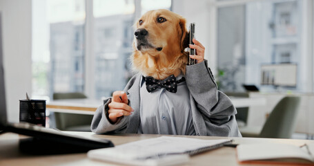 Phone call, planning and research with business dog in office for pet ambassador, contact and...