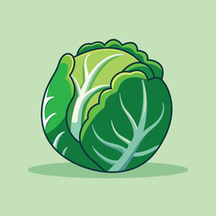 Cabbage Vegetable Cartoon Vector Icon Illustration. Food Nature Icon Concept Isolated Premium Vector. Flat Cartoon Style
