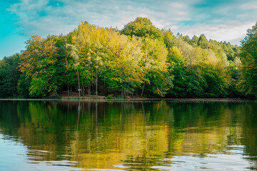 Autumnal Forest and Serene Lake Scene - Nature's Tranquility