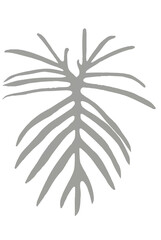 grey philo aroid png