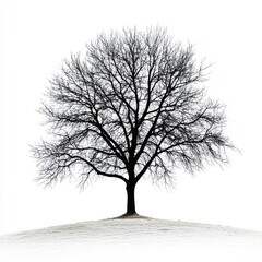 Solitary bare tree on snow-covered hill