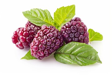 Fresh ruby raspberries nestled among vibrant green mint leaves showcase nature's bounty in a delightful arrangement isolated on transparent background