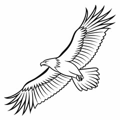 Obraz premium Eagle Vector Art and Illustration Set (from a collection)