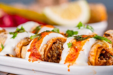 Delicious turkish kebab tantuni	