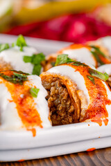 Delicious turkish kebab tantuni	