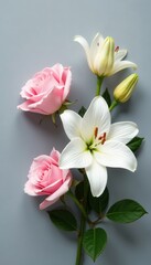 Obraz premium Delicate pink roses & white lilies, grey backdrop, blossom, elegant