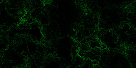 Abstract digital background with faint, glowing green electric lines and fluid. Mysterious, high-tech, and cybernetic atmosphere. Nebula-inspired void, with glowing filaments and deep.